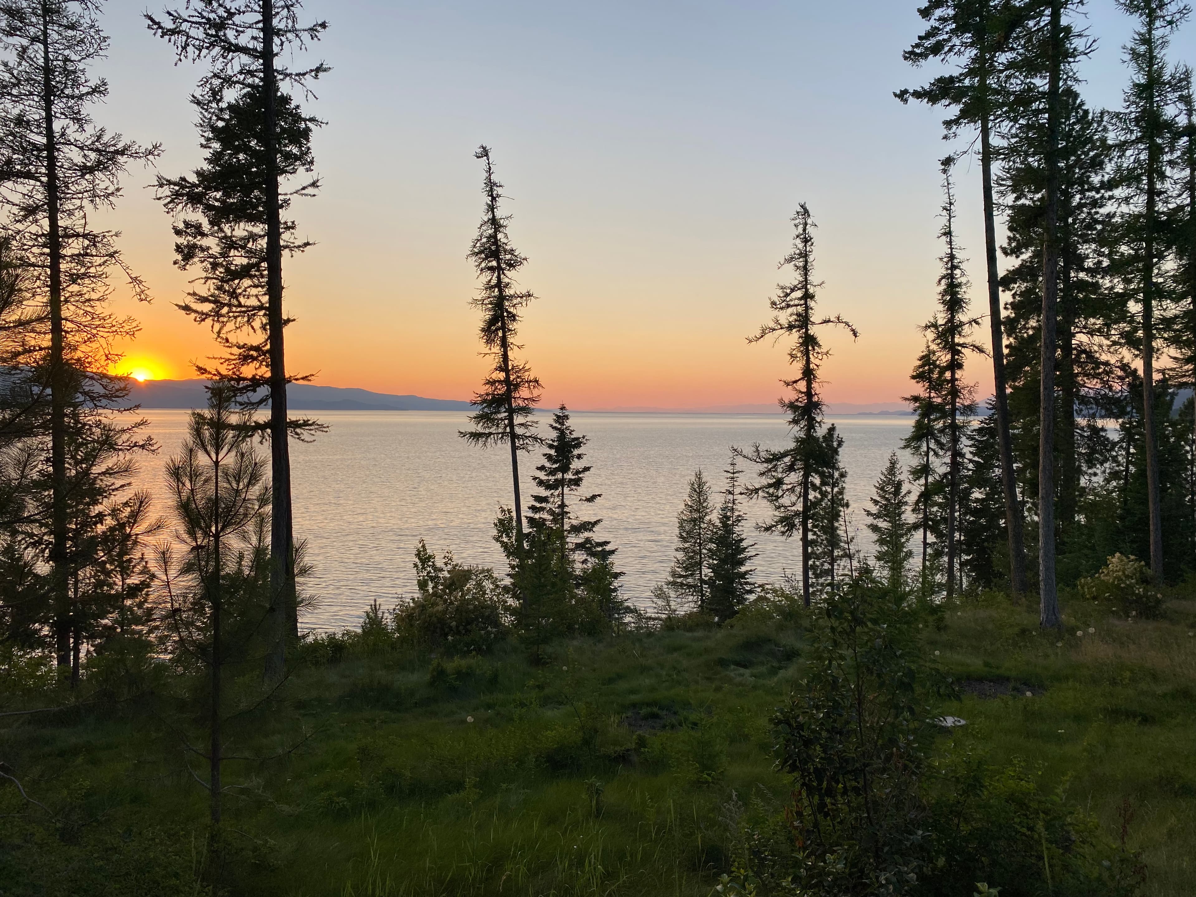 Sunset at Flathead lake with trees in foreground.